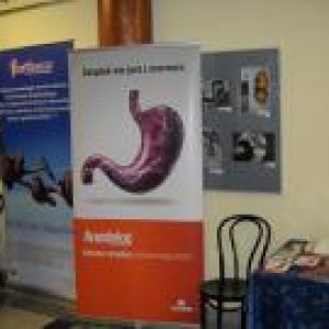 BORELIOZA I INNE CHOROBY ODKLESZCZOWE 2010